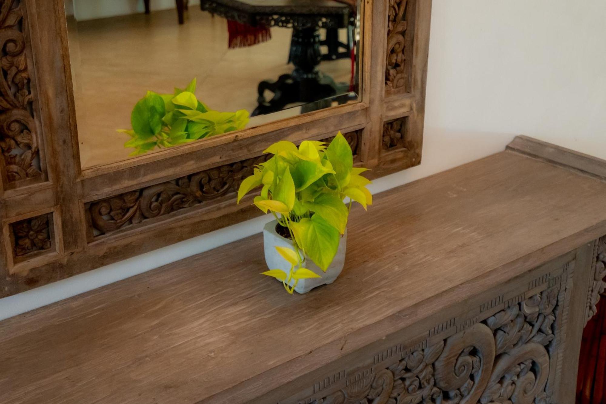 Galle Heritage Villa Eksteriør billede